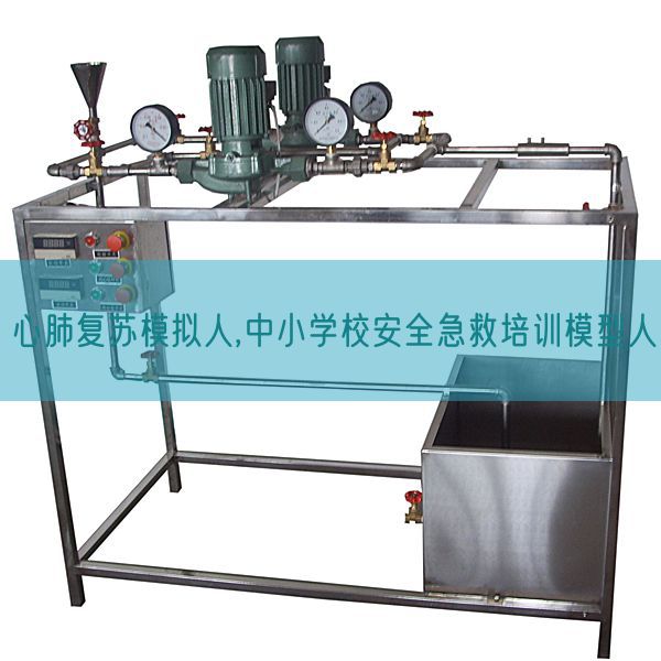 心肺复苏模拟人,中小学校安全急救培训模型人(图1)